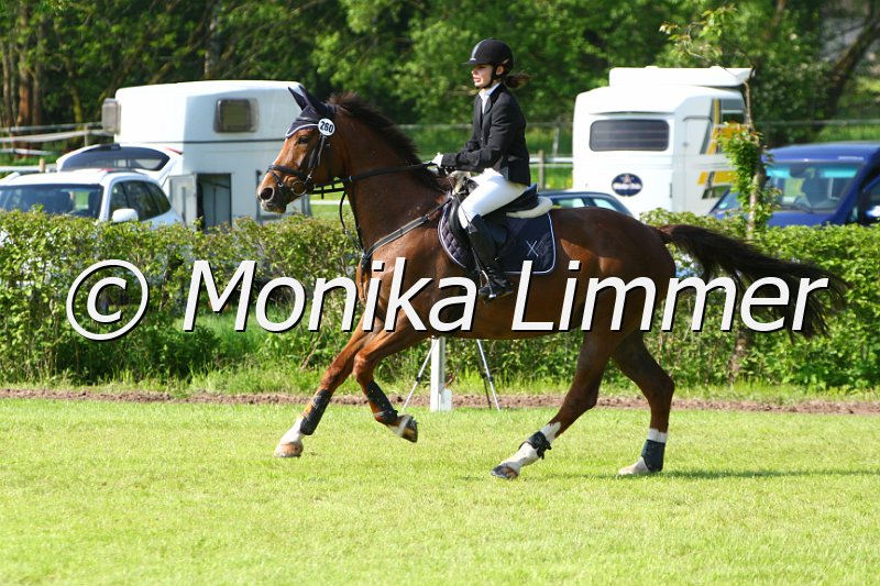 005M4151_Red Indian Summer_Stil A.JPG